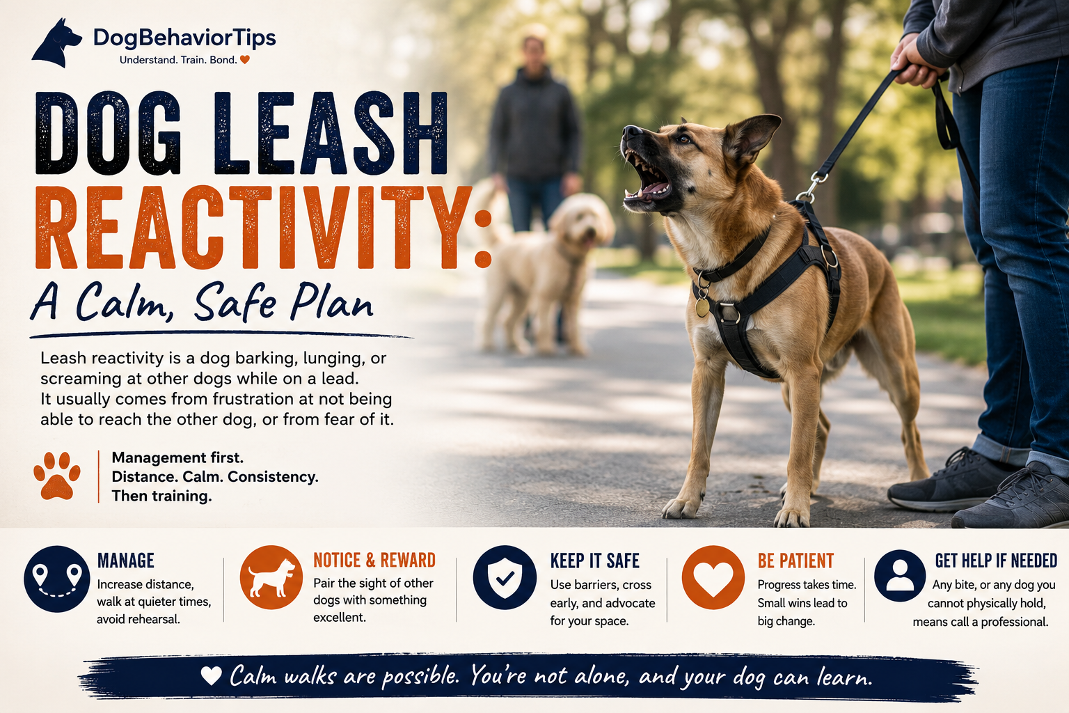 Reactive dog pulling and barking at another dog while on a leash, demonstrating common leash reactivity behavior and training challenges.